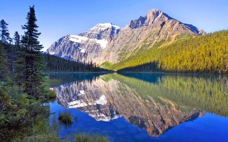 高精度自动化无人化